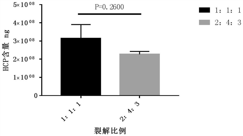 Plasmid vector continuous lysis device