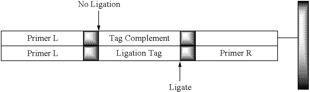 Methods and compositions for assay readouts on multiple analytical platforms