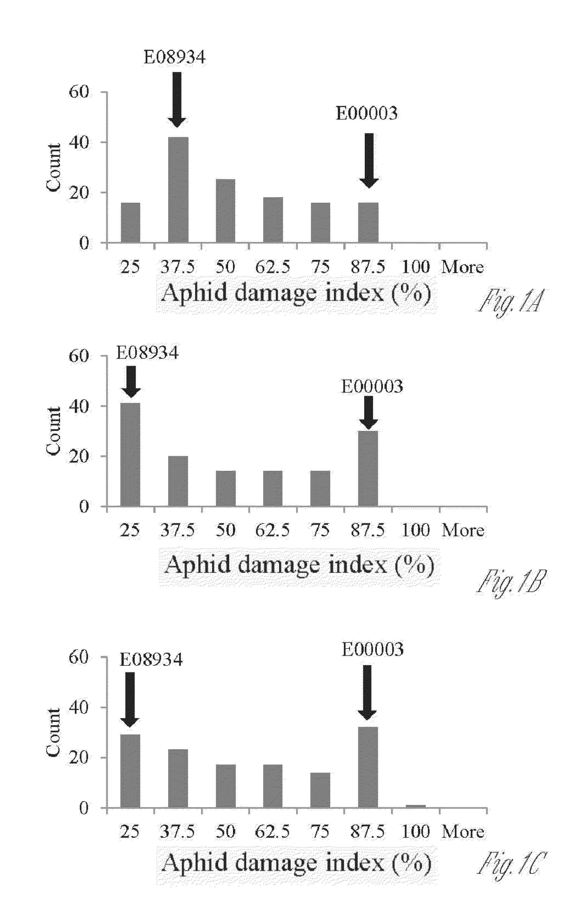 New sources of aphid resistance in soybean plants