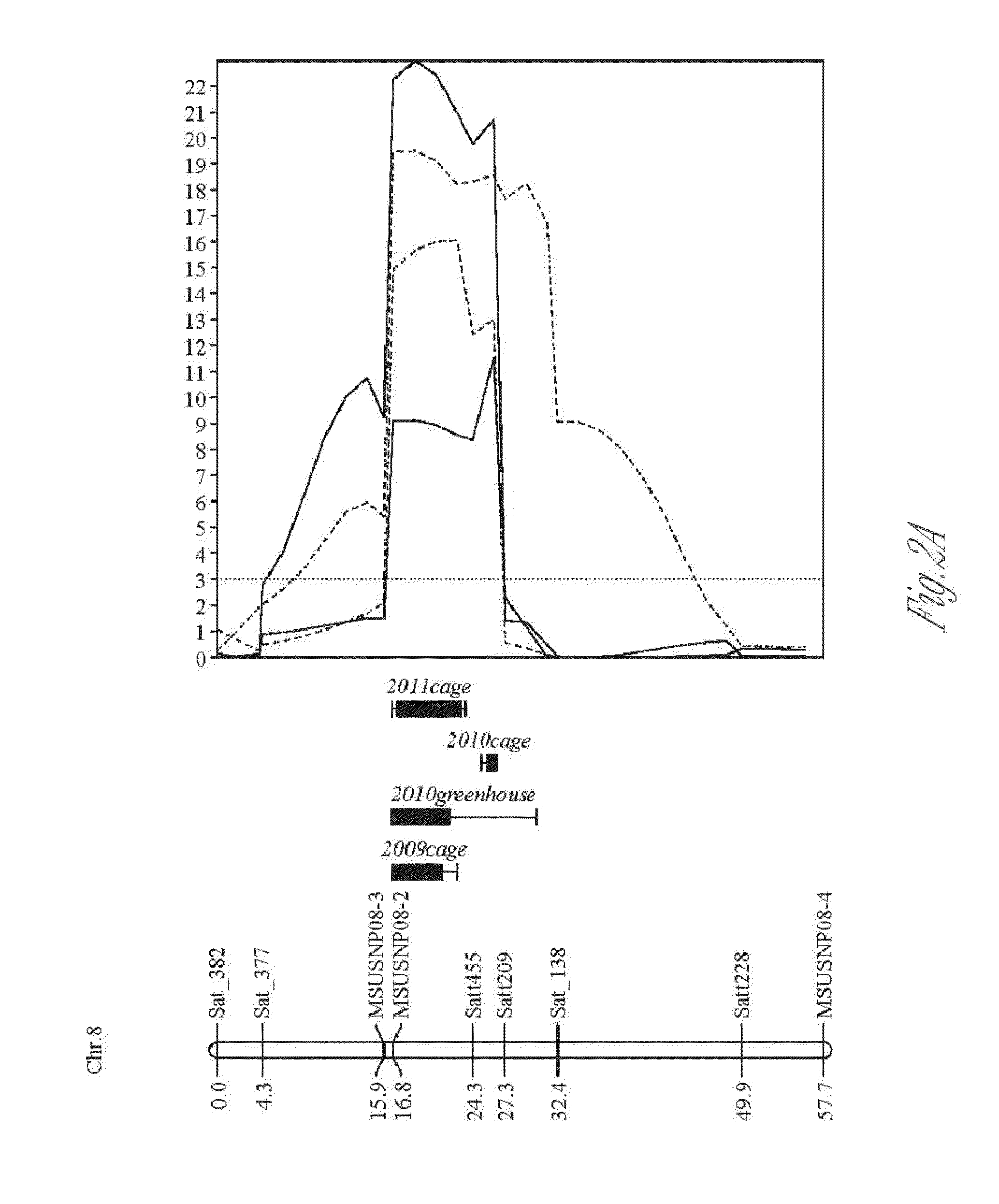 New sources of aphid resistance in soybean plants