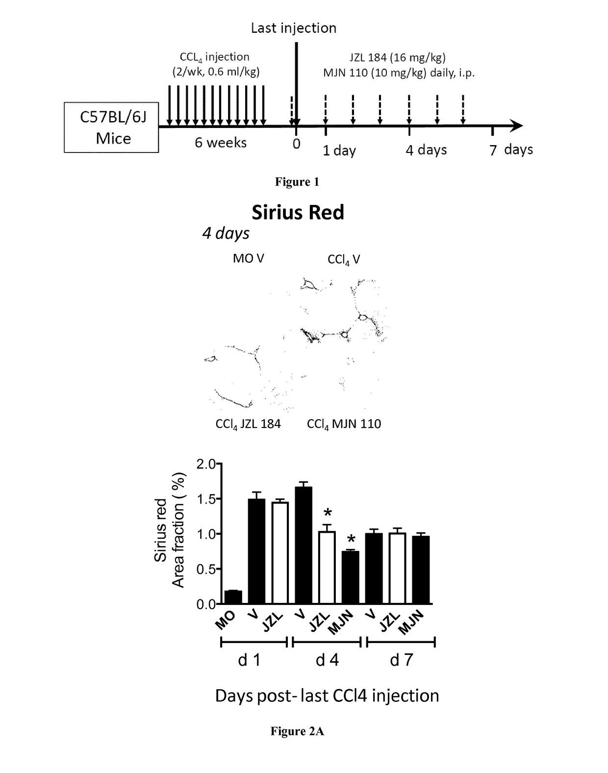 Methods and pharmaceutical compositions for the treatment of fibrosis