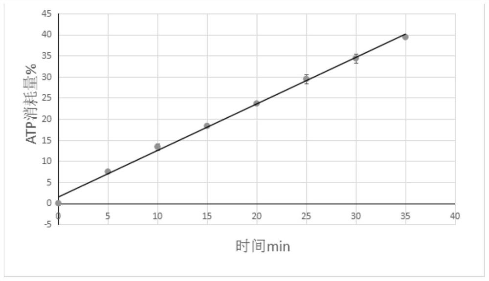 Method and Application of Monitoring mRNA Poly(A) Tail Length