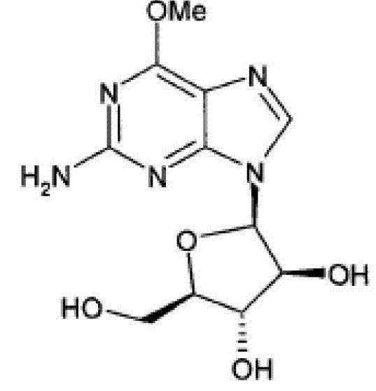 Nelarabine injection composition and preparation method thereof