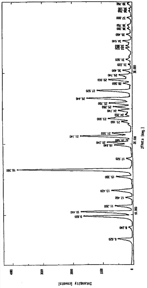 Nelarabine injection composition and preparation method thereof