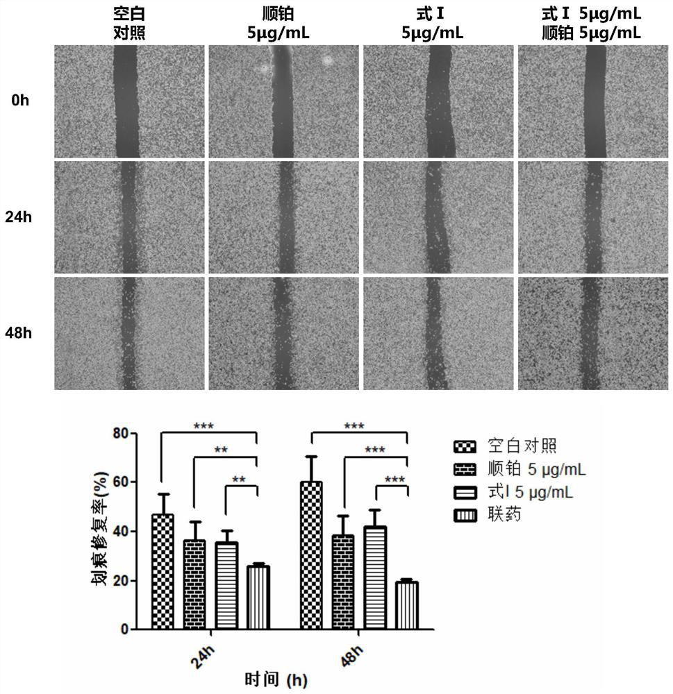 Terpenoid phenolic compound and application of terpenoid phenolic compound and cis-platinum in anti-tumor medicines