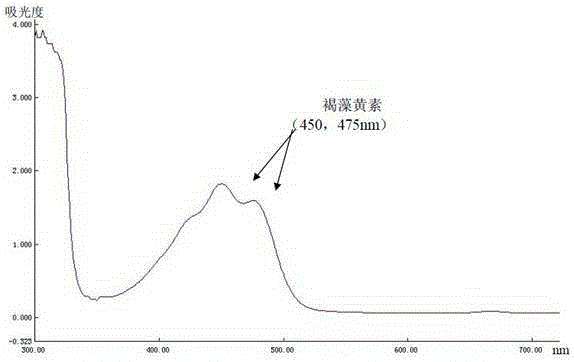 A kind of extraction and purification method of fucoxanthin