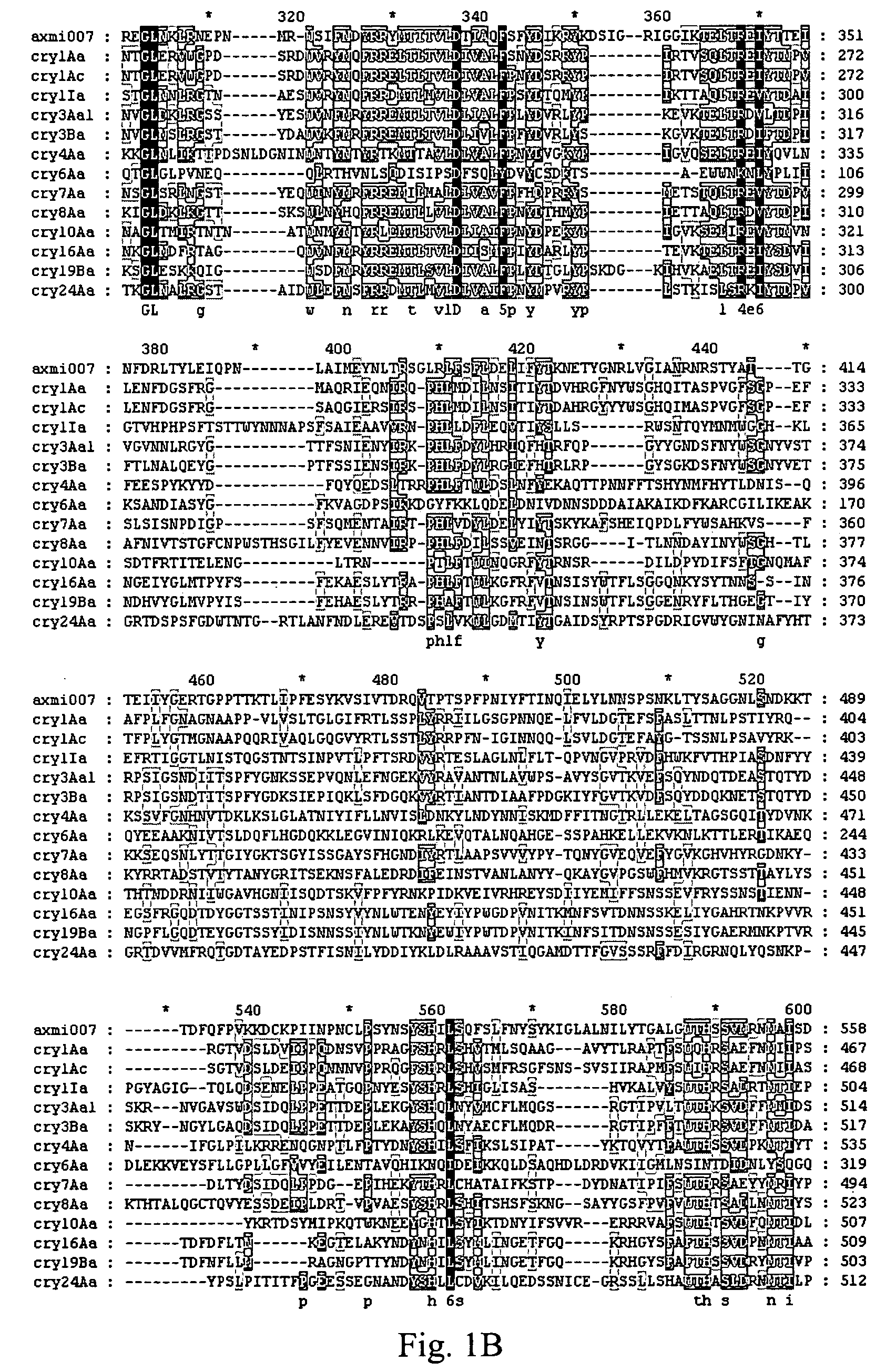 AXMI-007, a delta-endotoxin gene and methods for its use