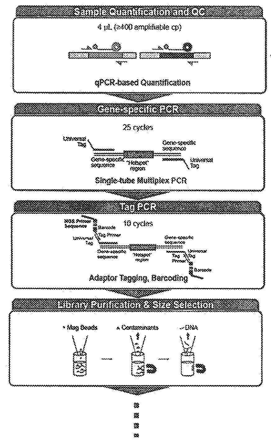 Methods and apparatuses for improving mutation assessment accuracy