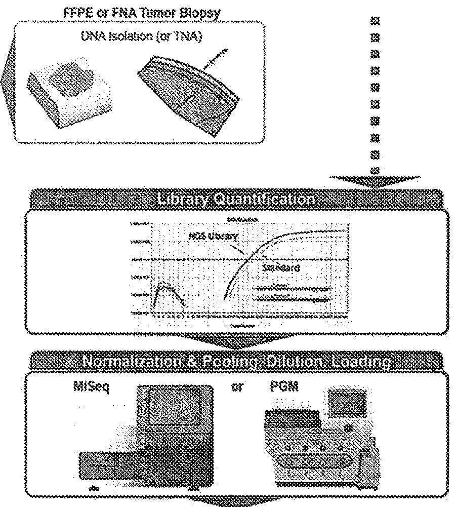 Methods and apparatuses for improving mutation assessment accuracy