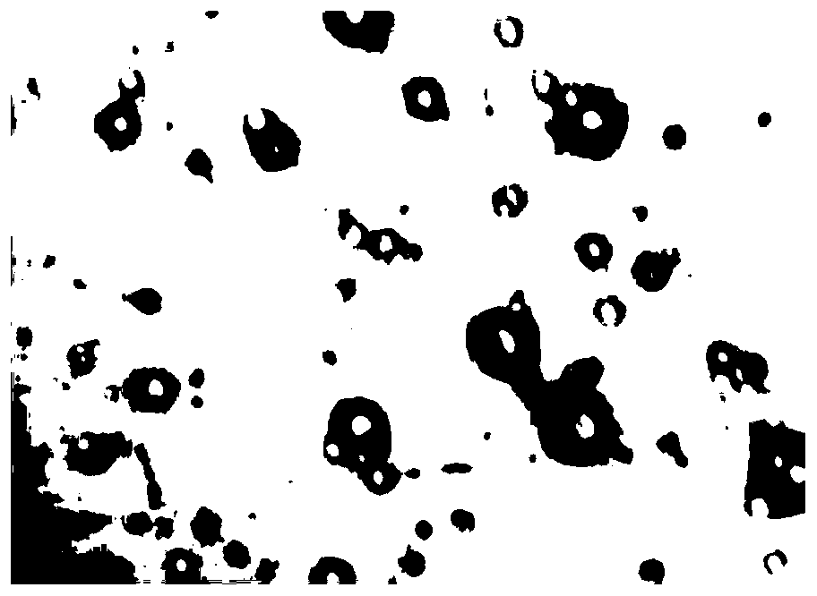 A kind of paclitaxel nanoparticle and preparation method thereof