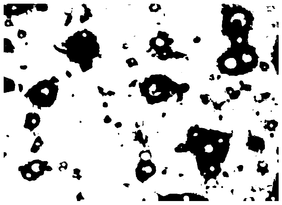 A kind of paclitaxel nanoparticle and preparation method thereof