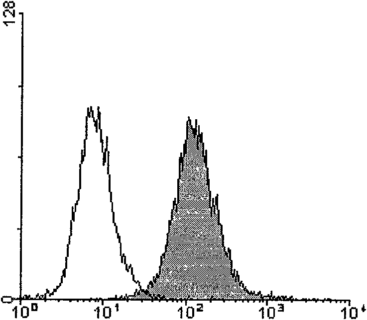 Preparation method of prostatic cancer specific DC cell vaccine which is insensitive to TGF-belta