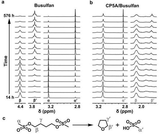 Water-soluble host-guest compound as well as preparation and application thereof