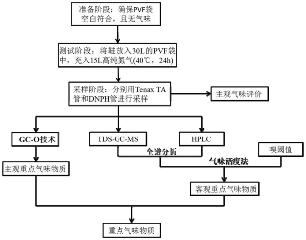 Method for determining key odor substances in shoes