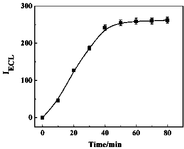 Method for determining cortex actin by electrochemical luminescence