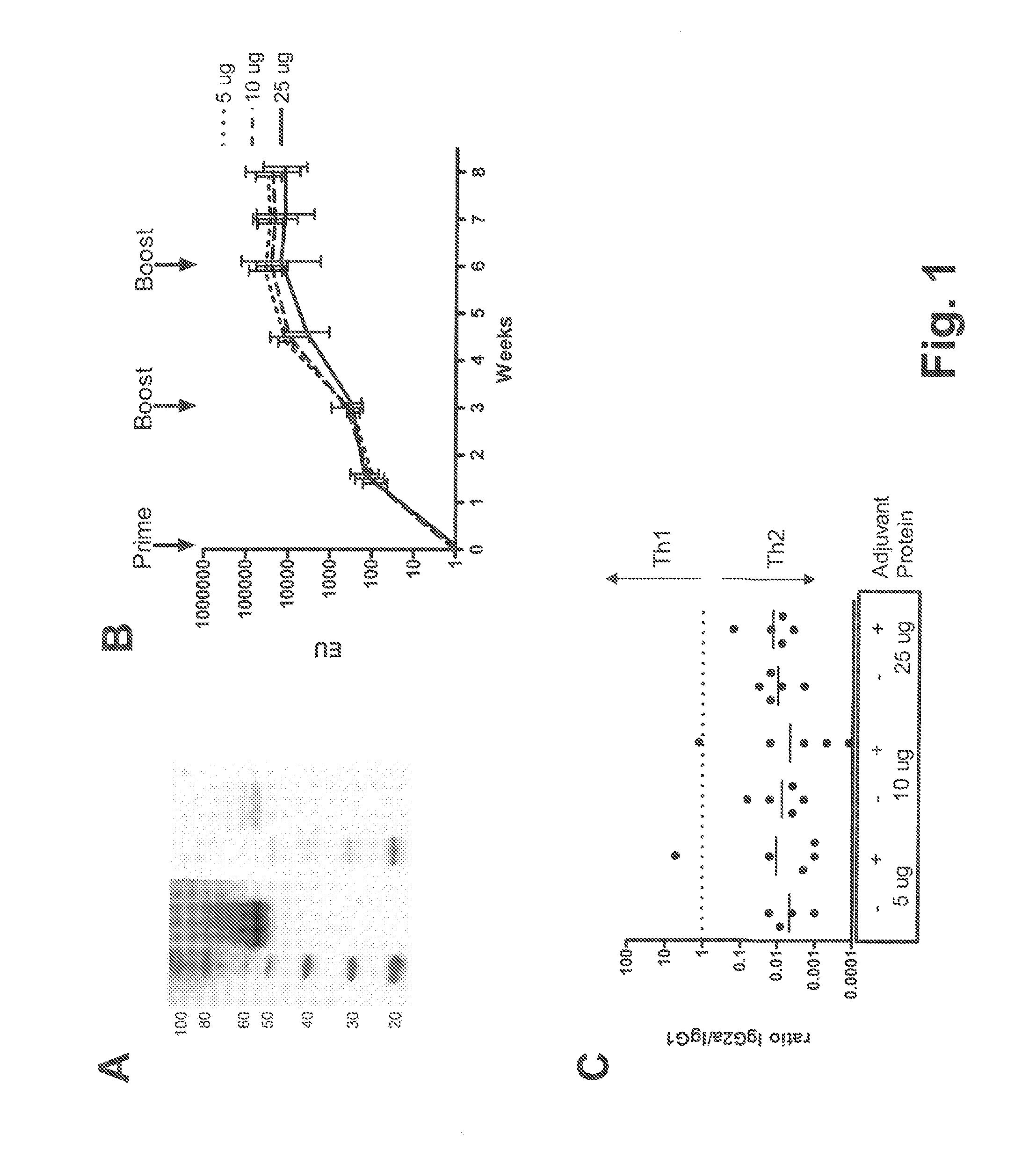 Heterologous prime boost vaccination regimen against malaria