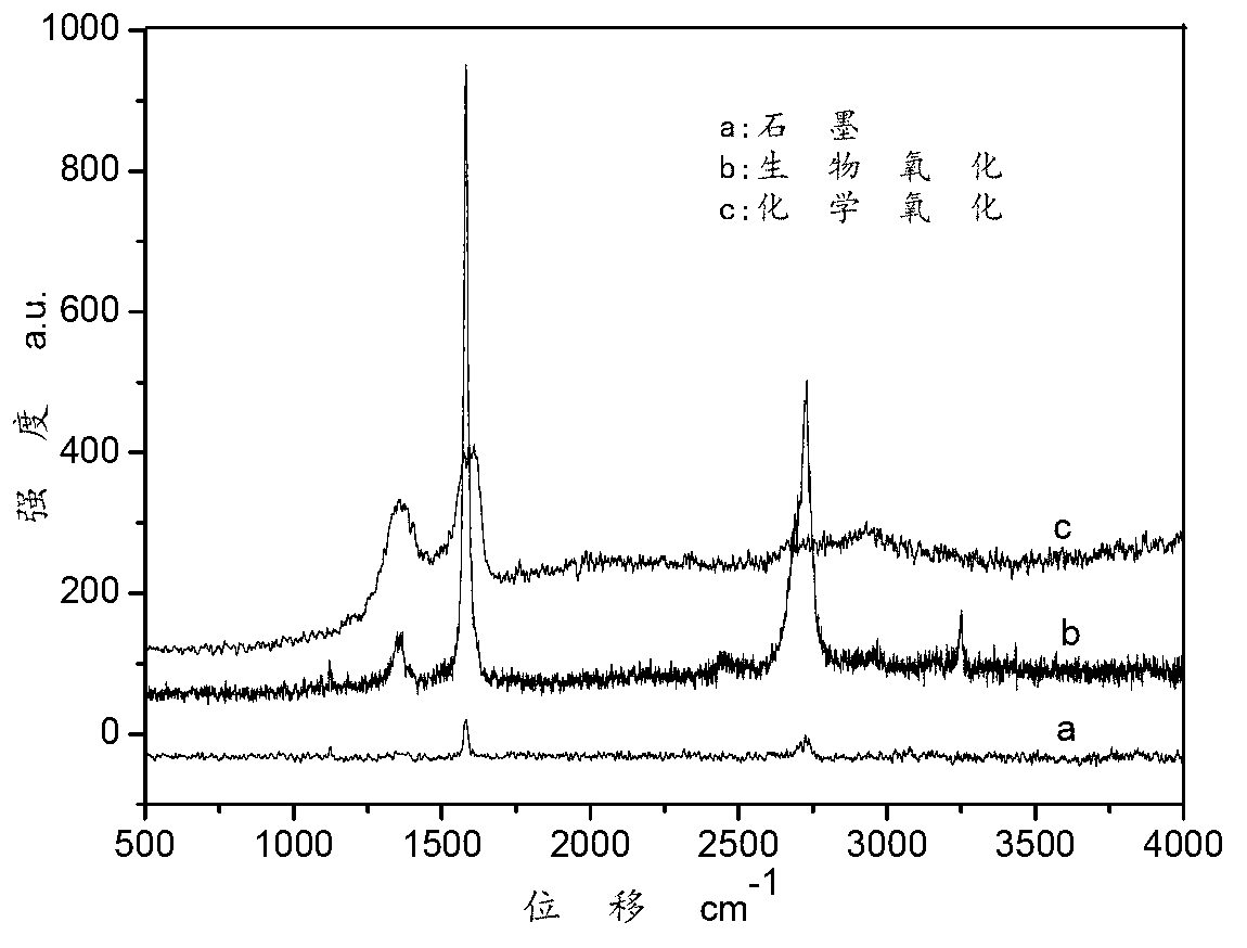 Biological oxidation graphite and preparation method thereof