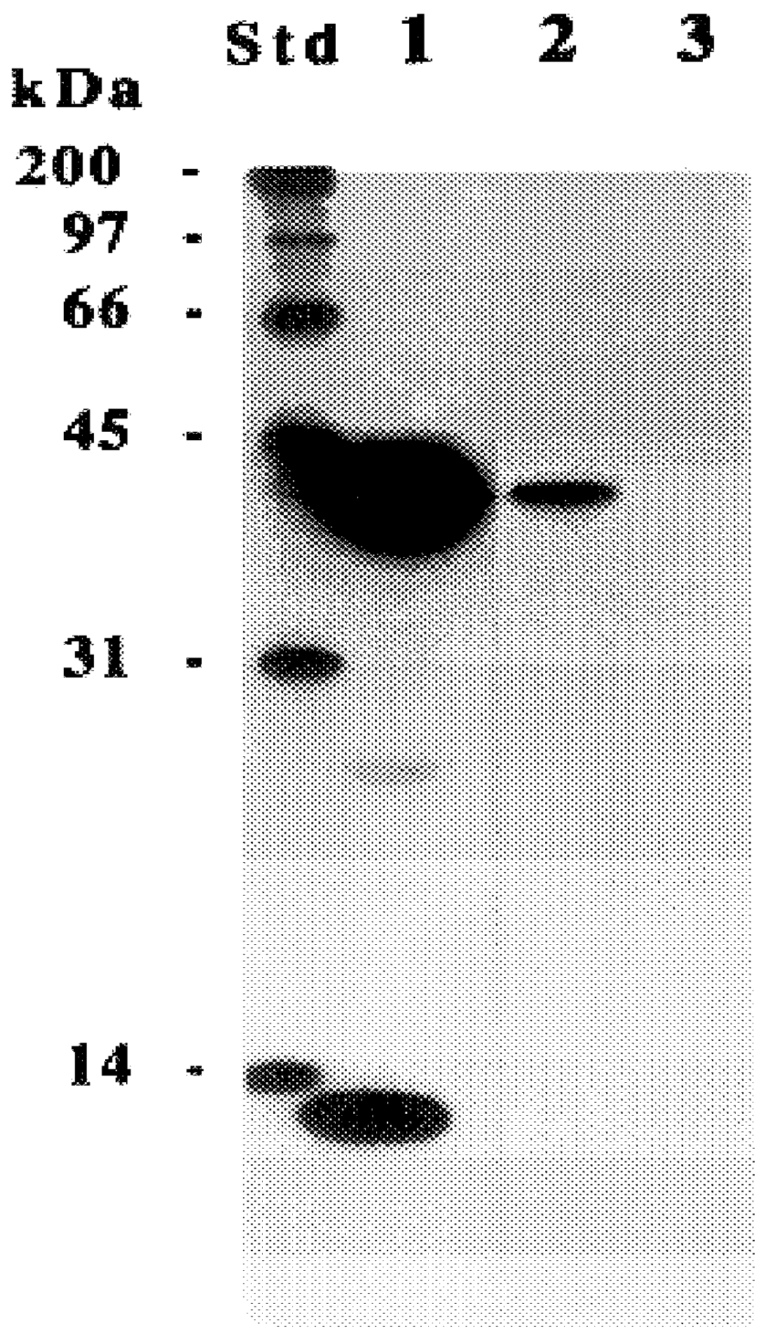 Affinity biotinylation