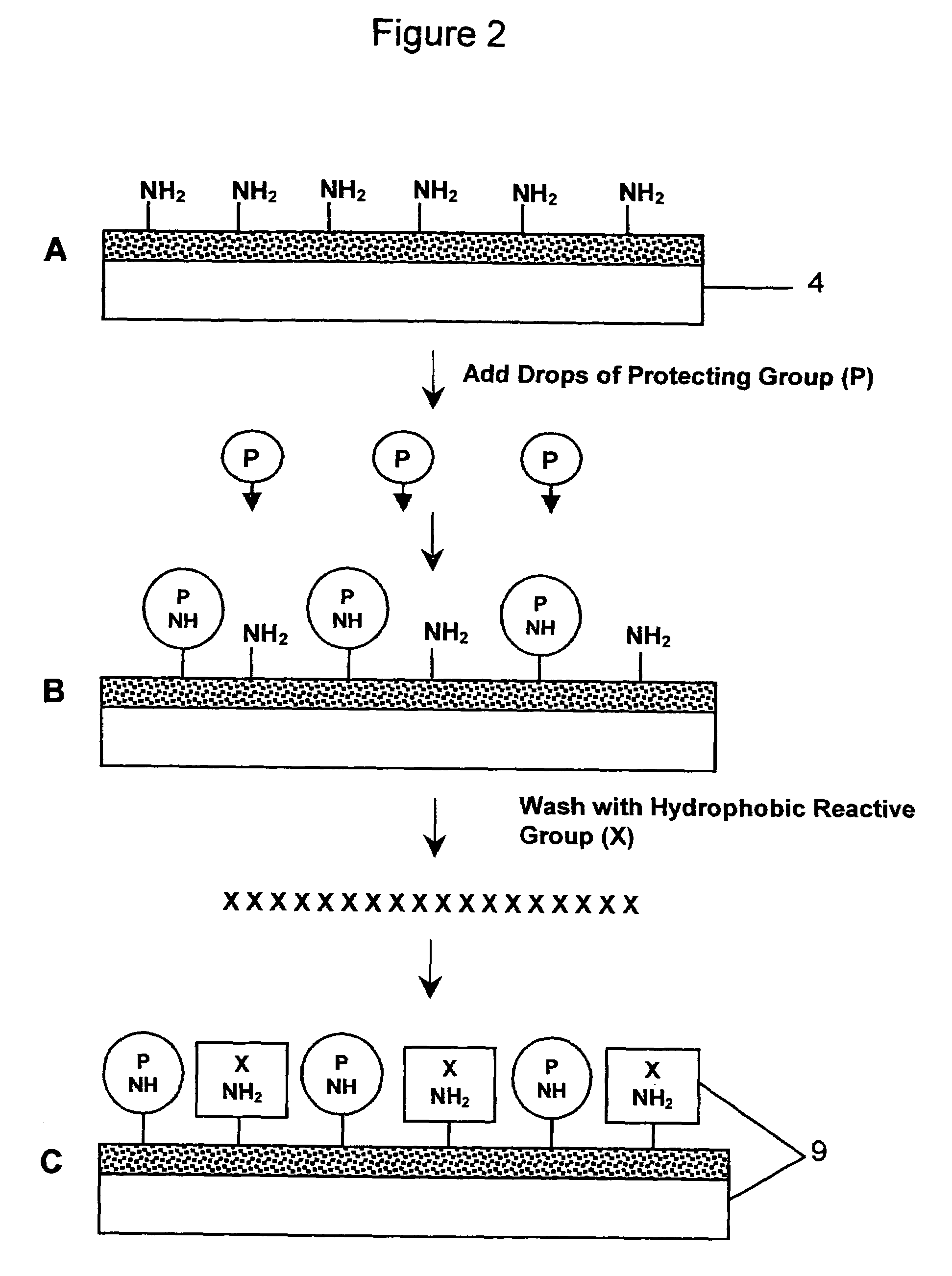 Miniaturized cell array methods and apparatus for cell-based screening