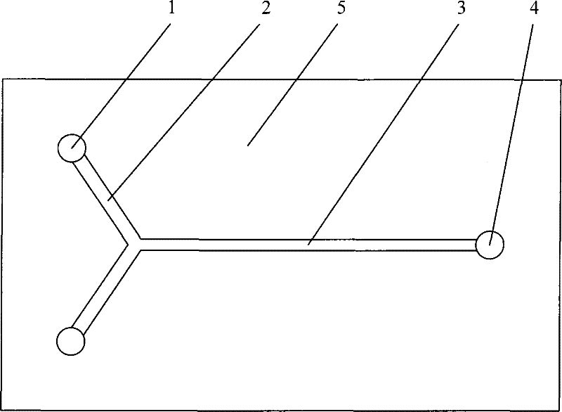 Nitration method for synthesizing dinitrotoluene in one step