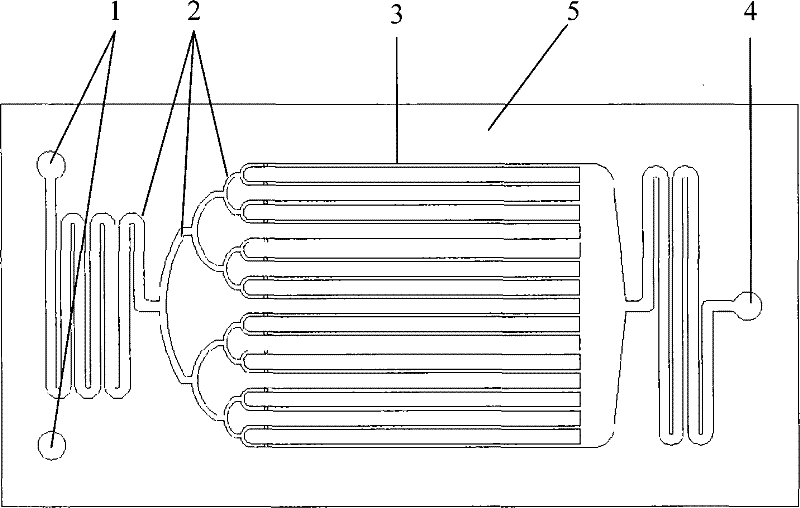 Nitration method for synthesizing dinitrotoluene in one step