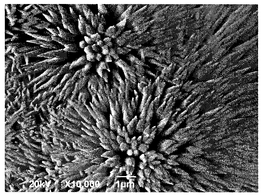 Electrochemical method for preparing fluorine-containing hydroxyapatite/zirconia transition coating on surface of medical titanium