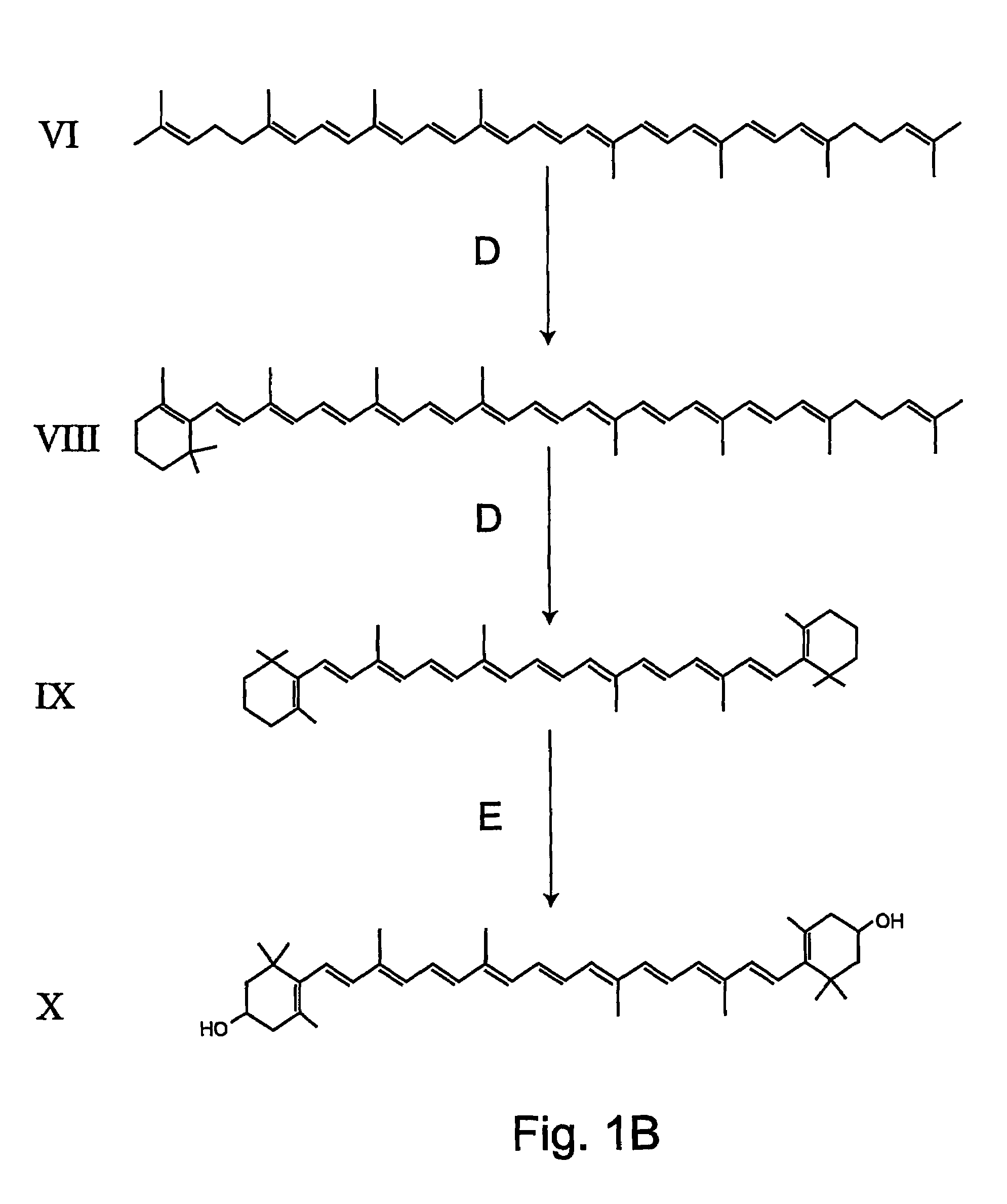 Transgenic pineapple plants with modified carotenoid levels and methods of their production