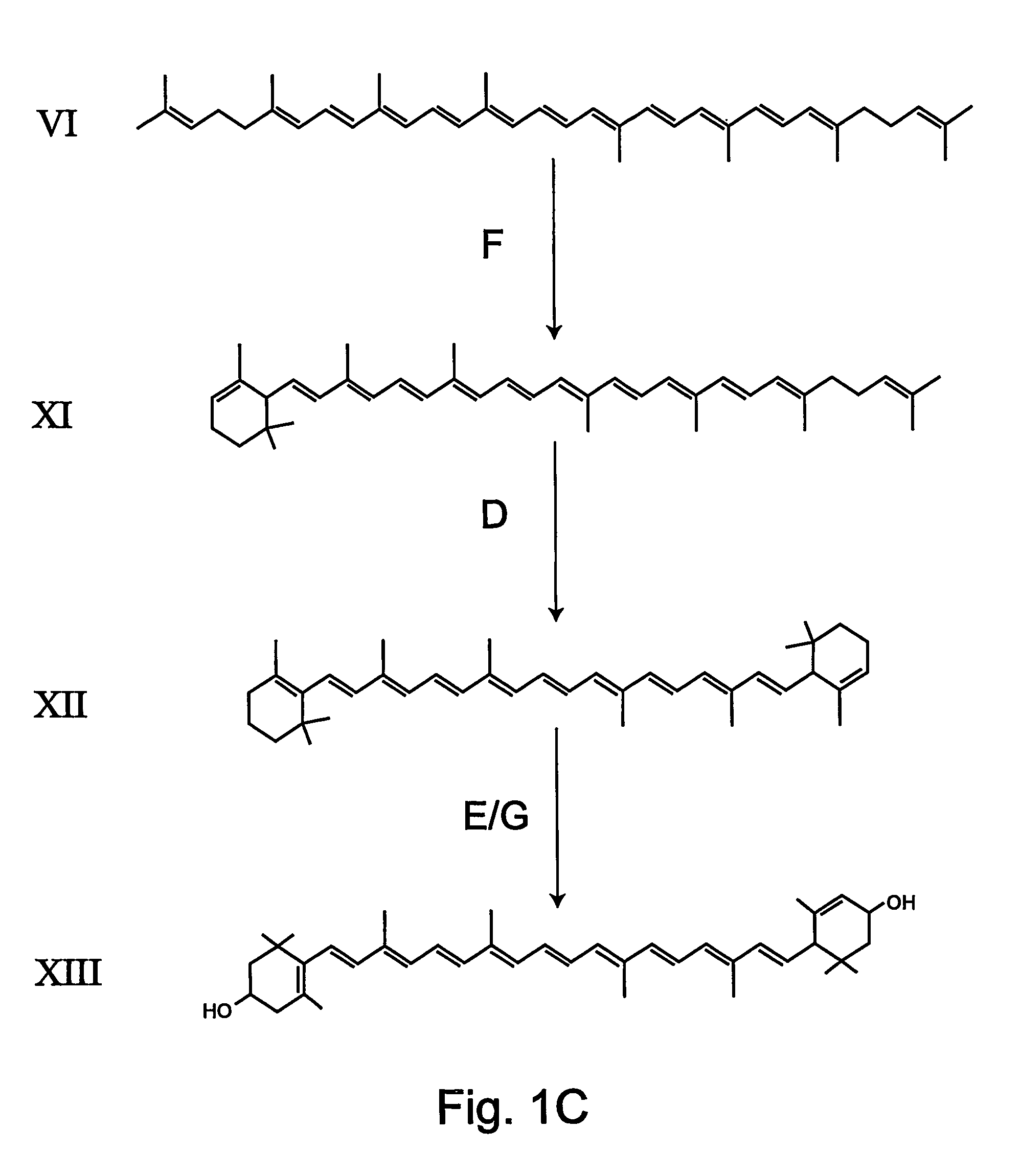 Transgenic pineapple plants with modified carotenoid levels and methods of their production