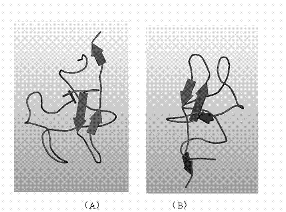 Kringle 5 mutant protein, and preparation method and application thereof