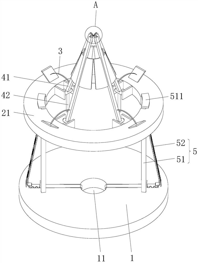 Litchi shelling device