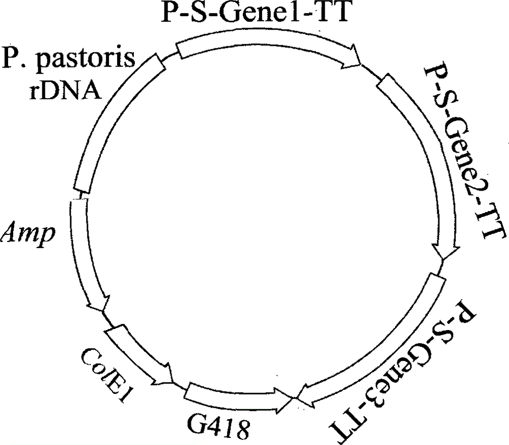 A method for producing recombinant mixed l-arabinose isomerase