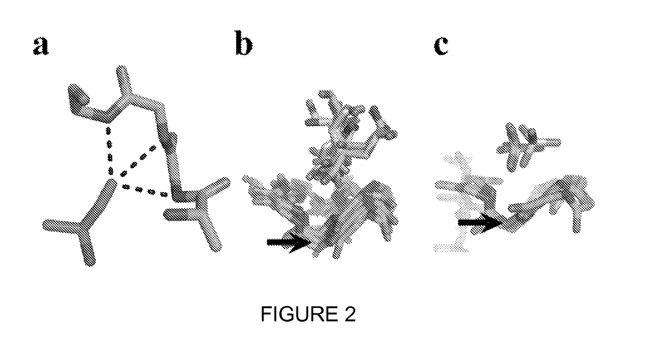 Engineered antibody scaffolds