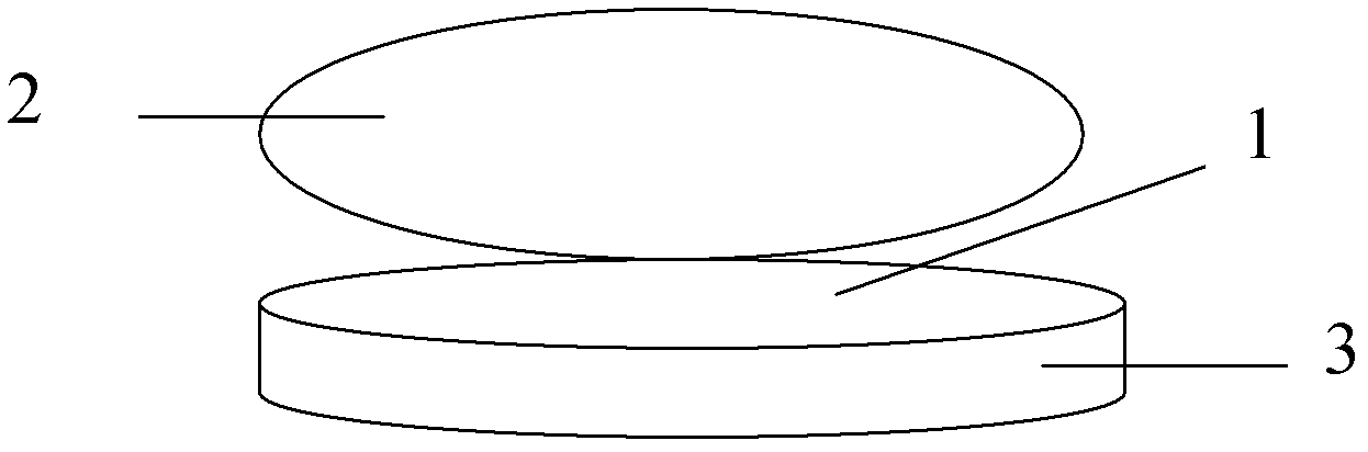 Application of composition Xiaoke pills in preparation of information intervention agent, preparation method of information intervention body and product