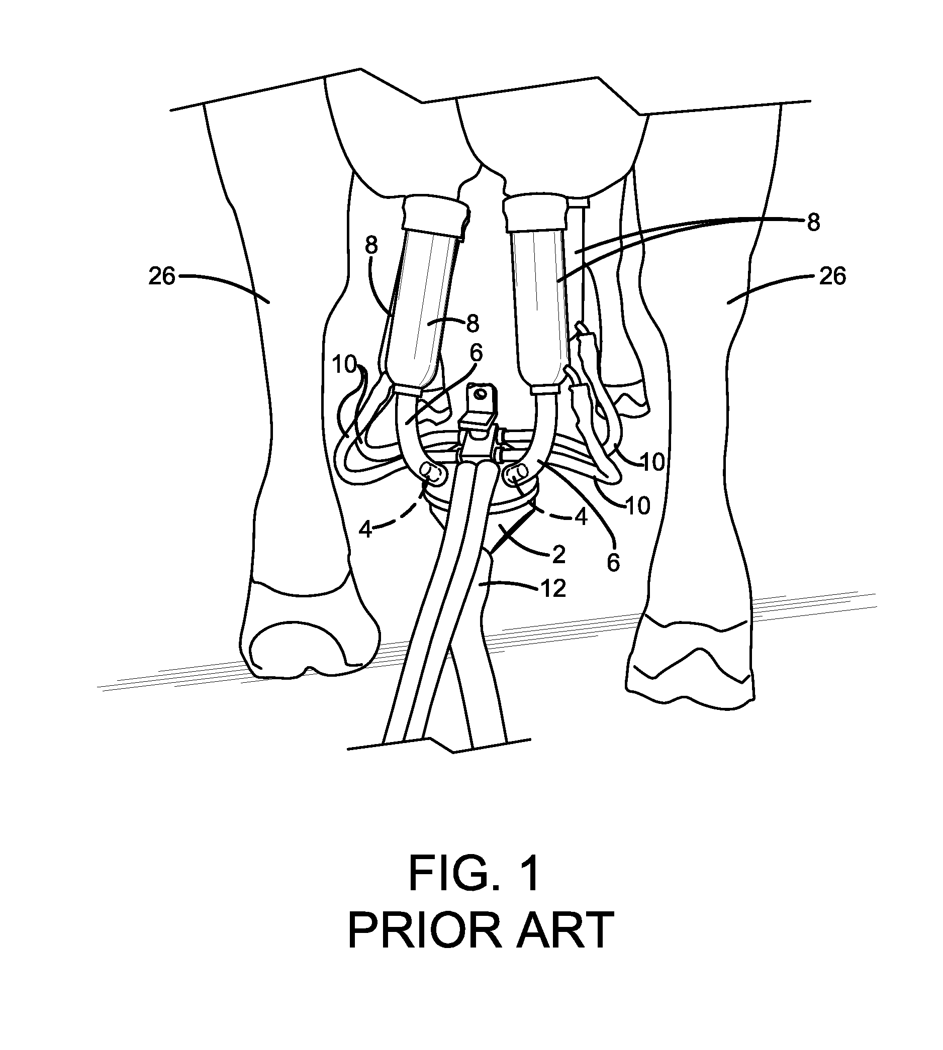 Dairy milking devices and methods