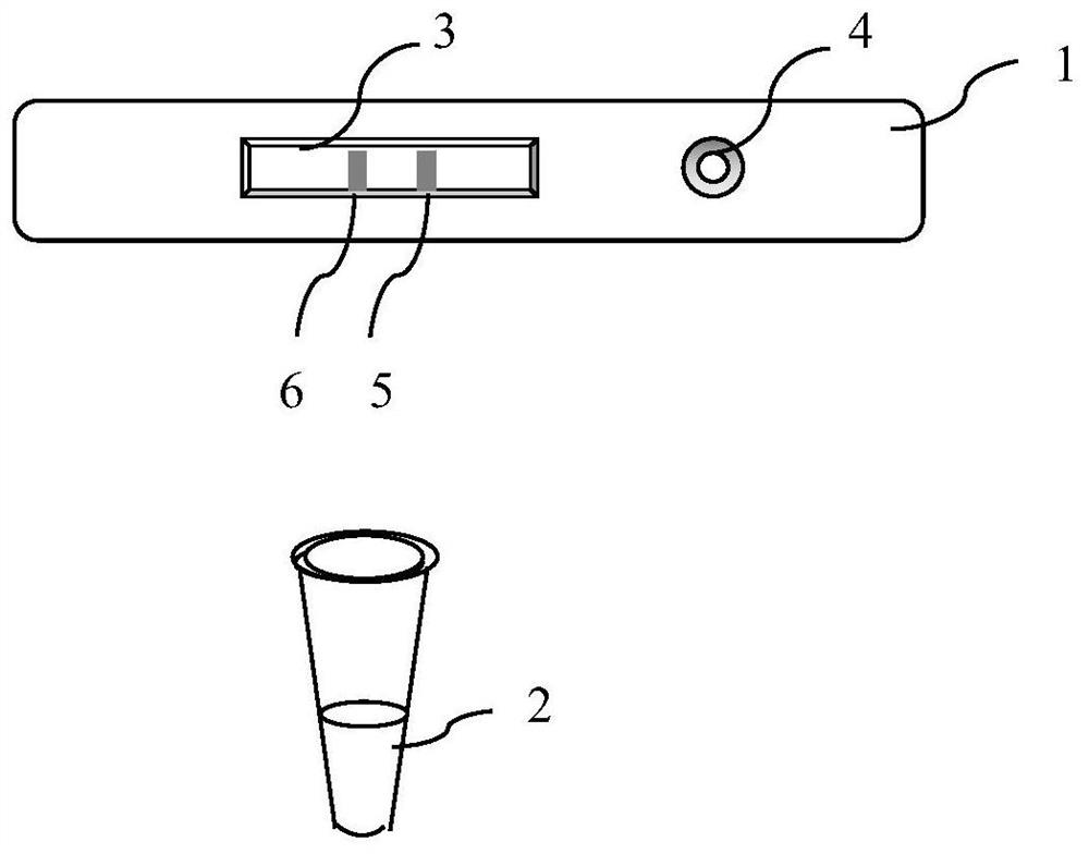 Kit for determining amino-terminal pro-brain natriuretic peptide, preparation method and detection method