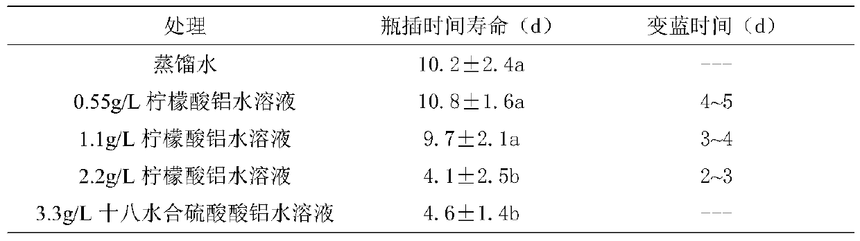 Application of aluminum citrate to hydrangea macrophylla color adjustment and control