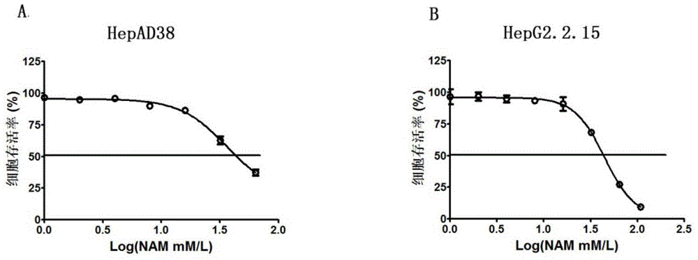 Application of niacinamide as effective component in preparation of medicine for treating hepatitis B