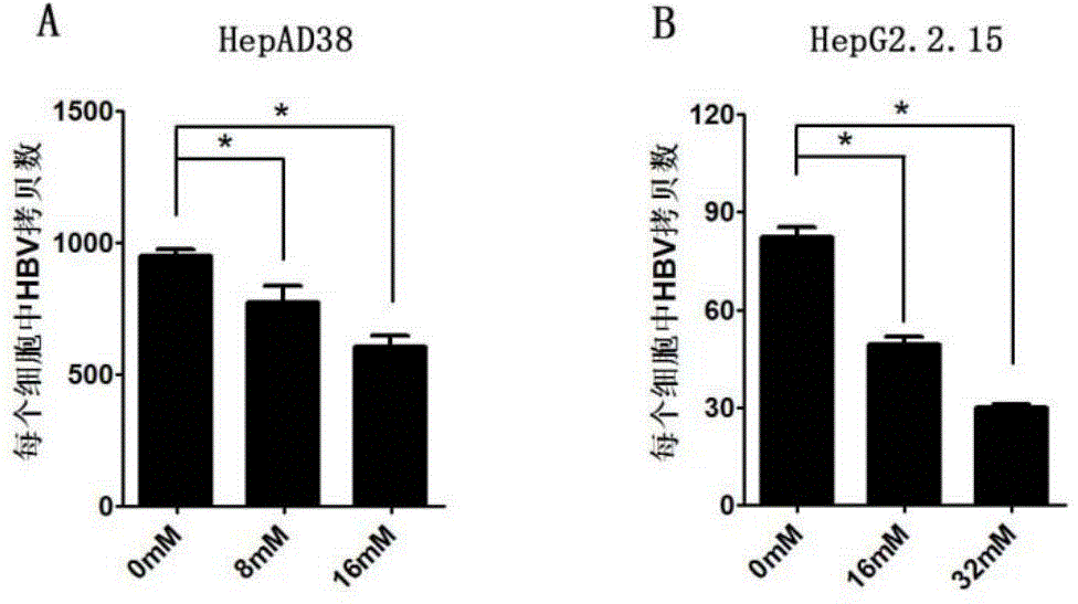 Application of niacinamide as effective component in preparation of medicine for treating hepatitis B