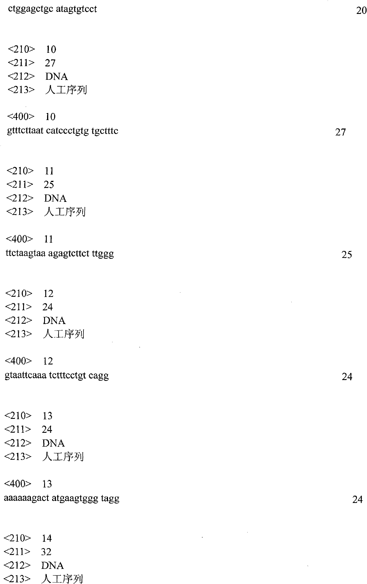 Kit for human genotyping by fluorescence labeling STR and detection method thereof