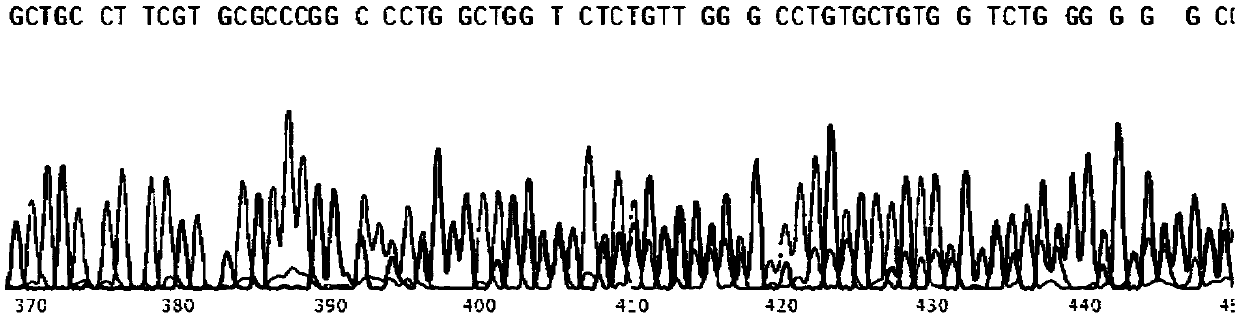 New method for gene point mutation repair