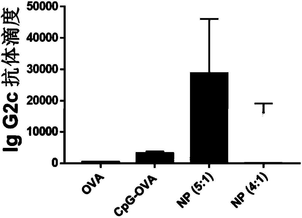 Chitosan-based antigen release rate-adjustable nano-vaccine, and preparation method and application thereof