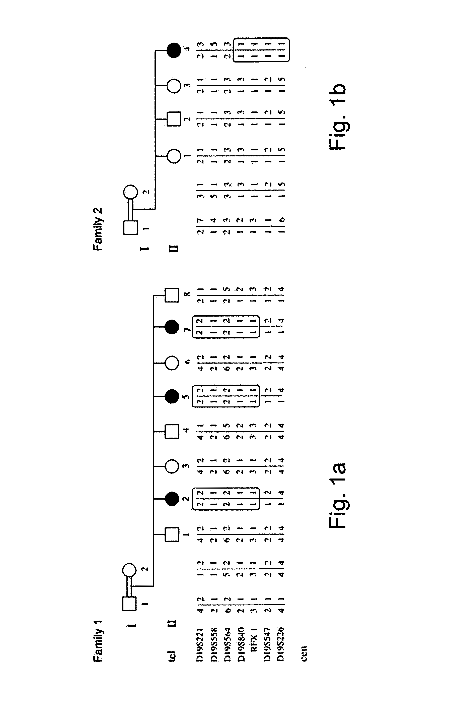 Methods and kits for diagnosing and treating mental retardation