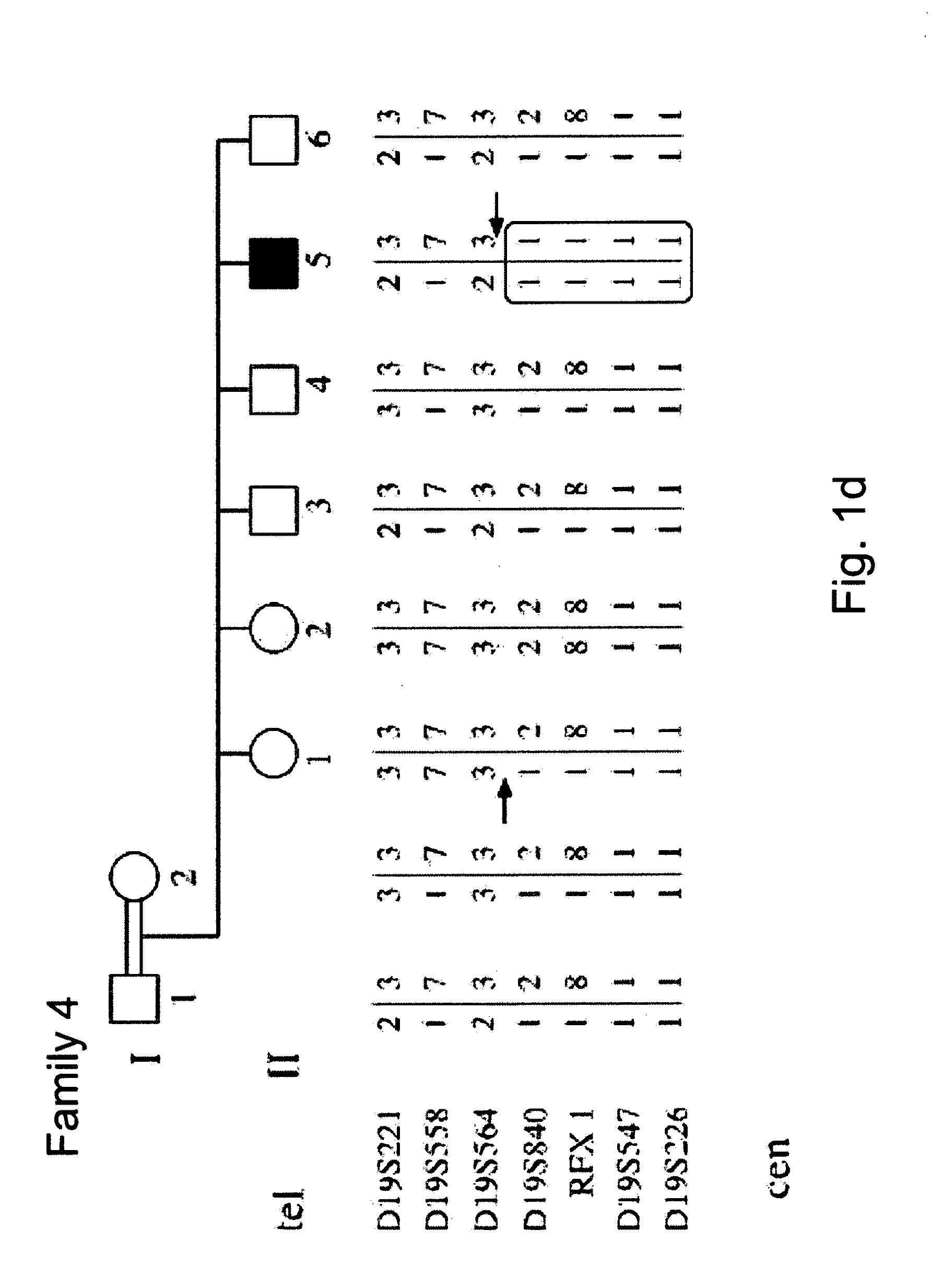 Methods and kits for diagnosing and treating mental retardation