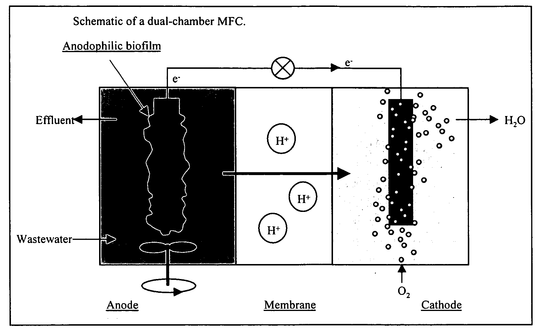 Upflow microbial fuel cell (UMFC)