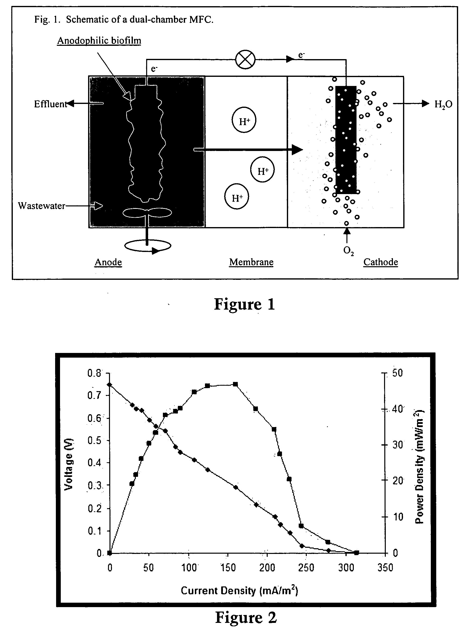 Upflow microbial fuel cell (UMFC)