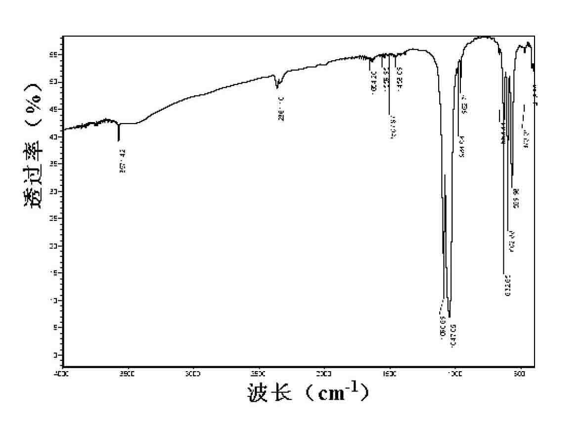 Natural biomineralization powder, preparation method thereof and application thereof