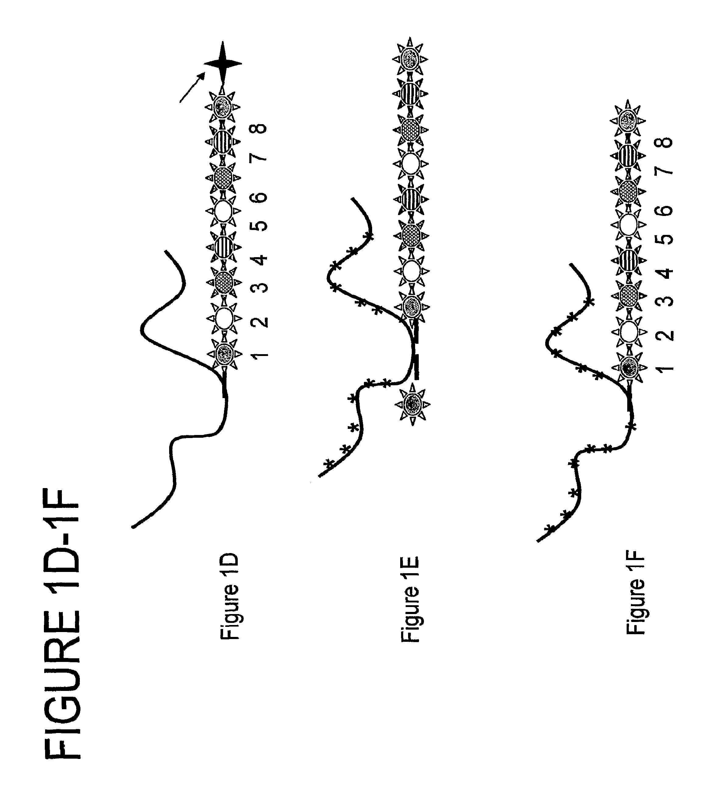 Nanoreporters And Methods Of Manufacturing And Use Thereof