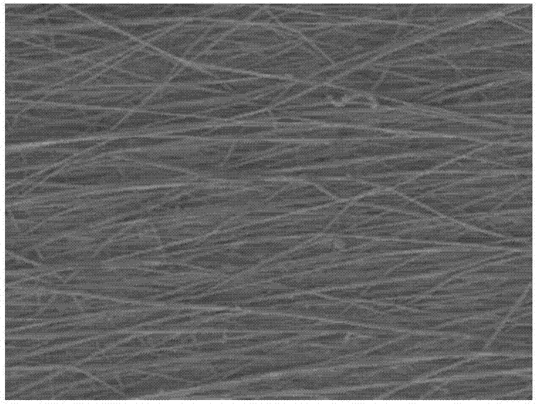 Building method of active bio-battery based on electrocytes