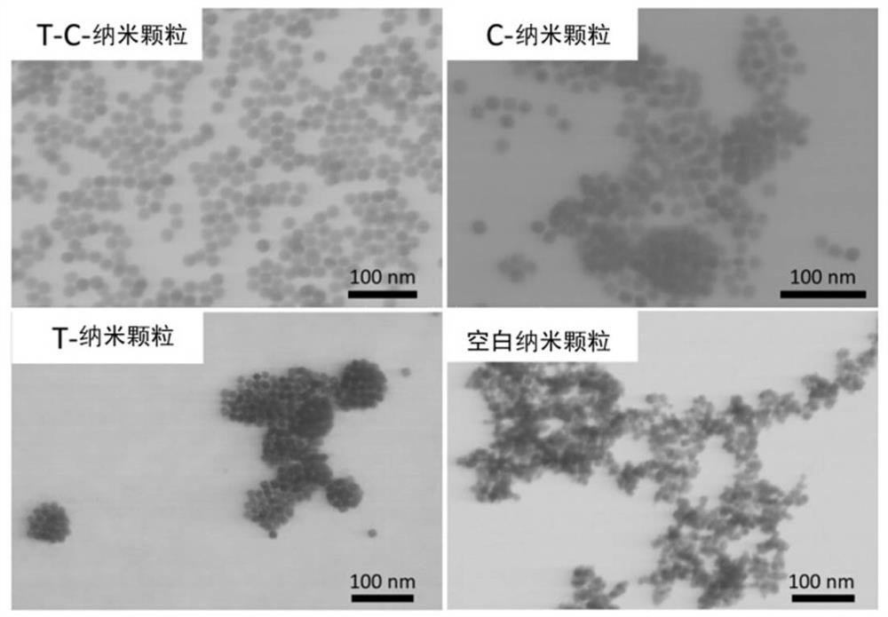 A method for preparing iron oxide nanoparticles from tea leaves