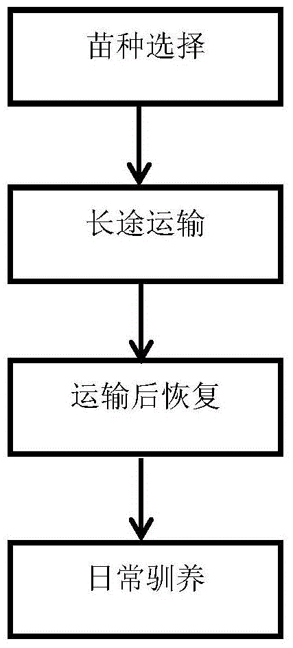 Method for transporting and domesticating plateau fish seedlings